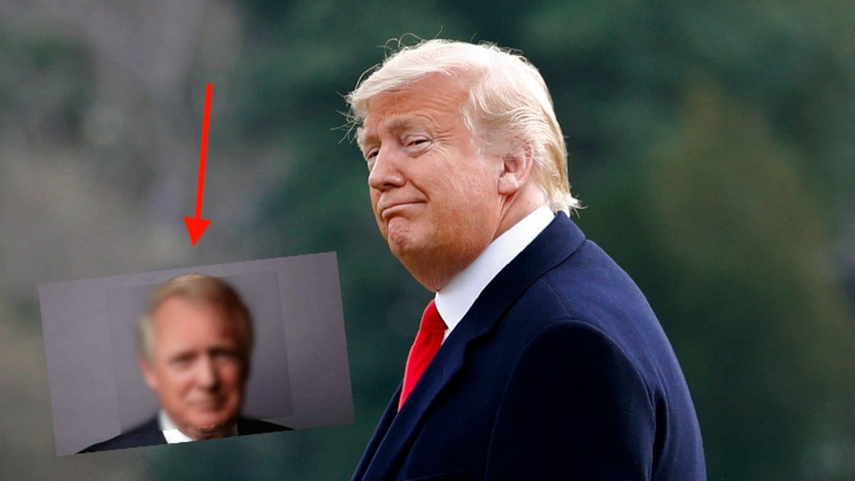Bilden på Trump med vanligt hår gör succé.