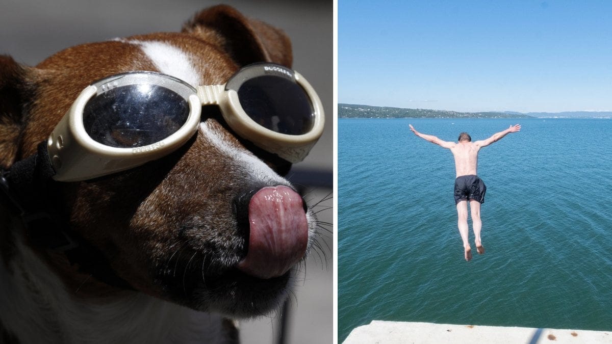 Här blir det sol i helgen.