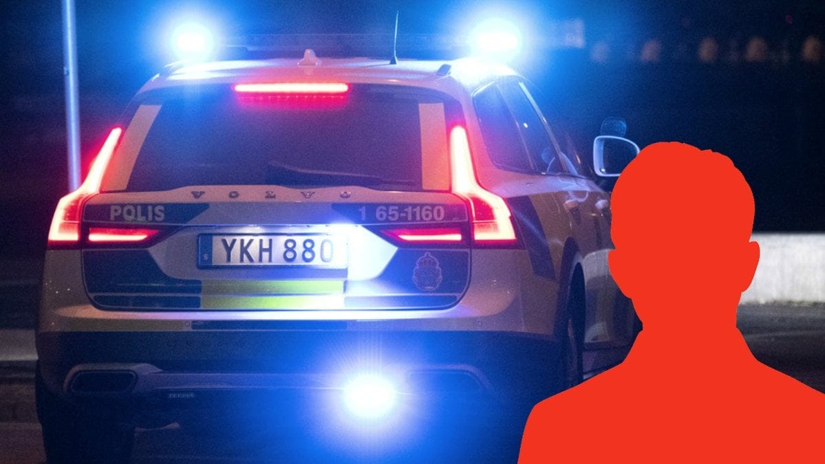 Mordmisstankt-artist-gripen