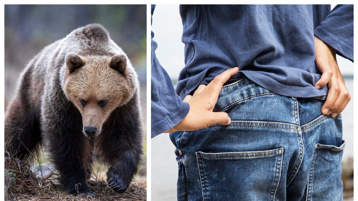 Pojken fördes till sjukhus efter björnattacken.