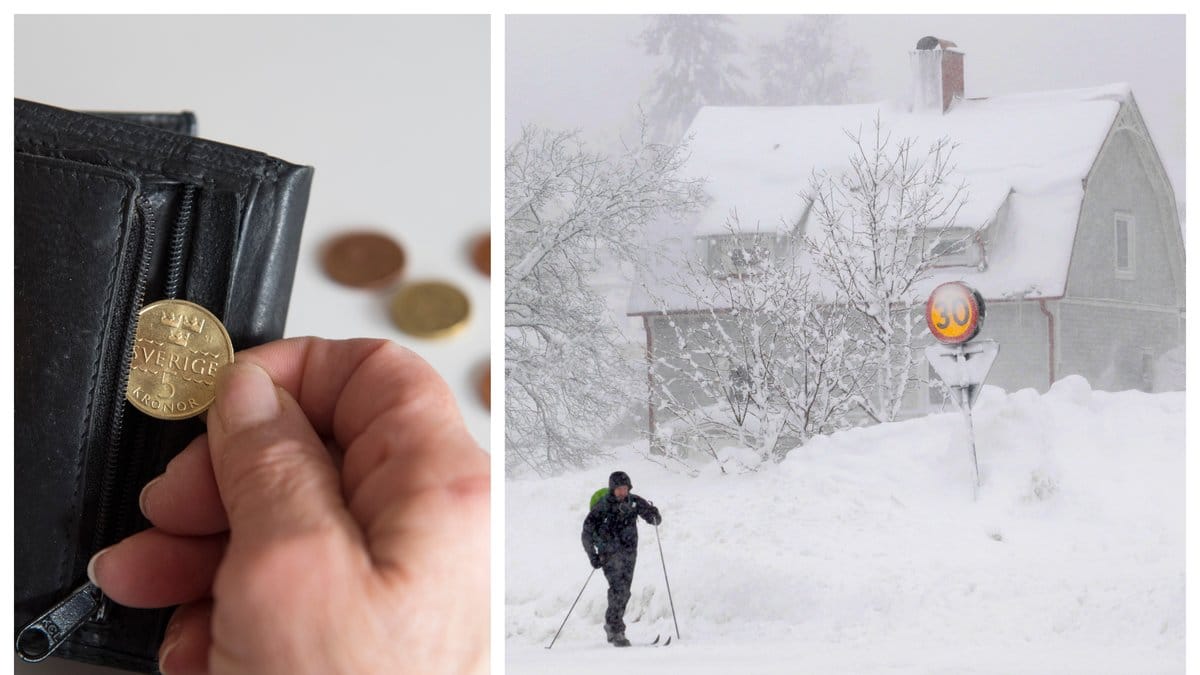 Sparekonomen Frida Bratt, verksam hos Nordnet Bank, varnar för en vargavinter.
