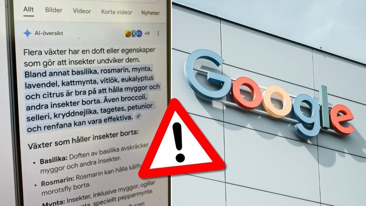 Se upp för telefonnummer i Googles AI-översikt.