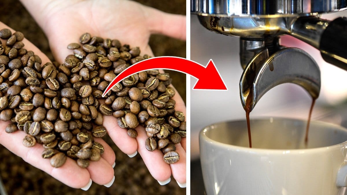 ​Att dricka kaffe i lagom mängd kan ha flera hälsofördelar