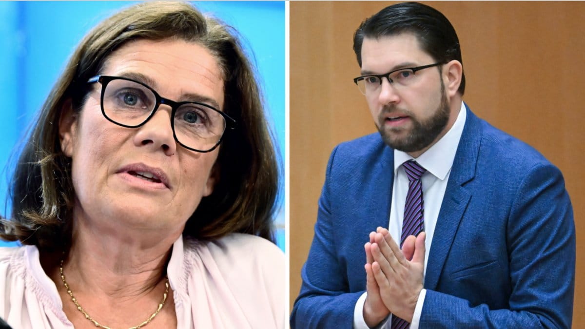 Riksdagsledamoten Elsa Widding (SD) sade i riksdagen att klimatkrisen saknar vetenskapligt stöd. Nu varnar forskare för en 'Trumpifiering' av det politiska samtalet.