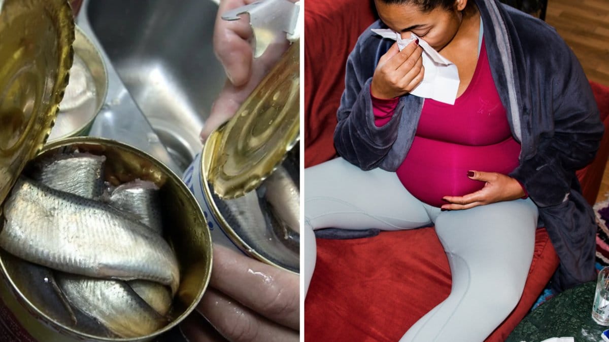 Unga bör inte äta surströmming så ofta eftersom den innehåller miljögifter.