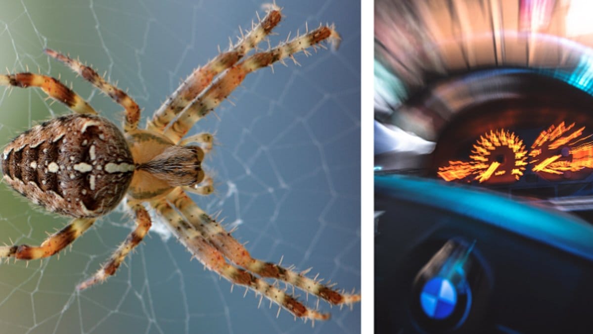 Kvinna-sag-spindel-och-hoppade-av-bil-i-farten