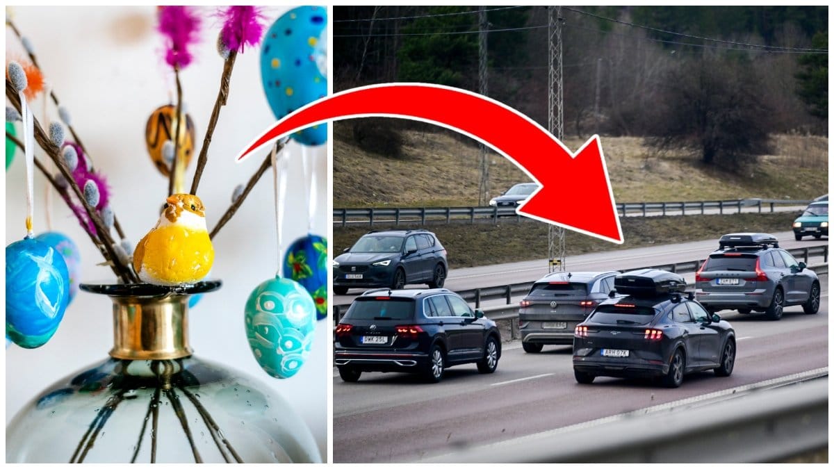 Påskris och bilar på E4. 