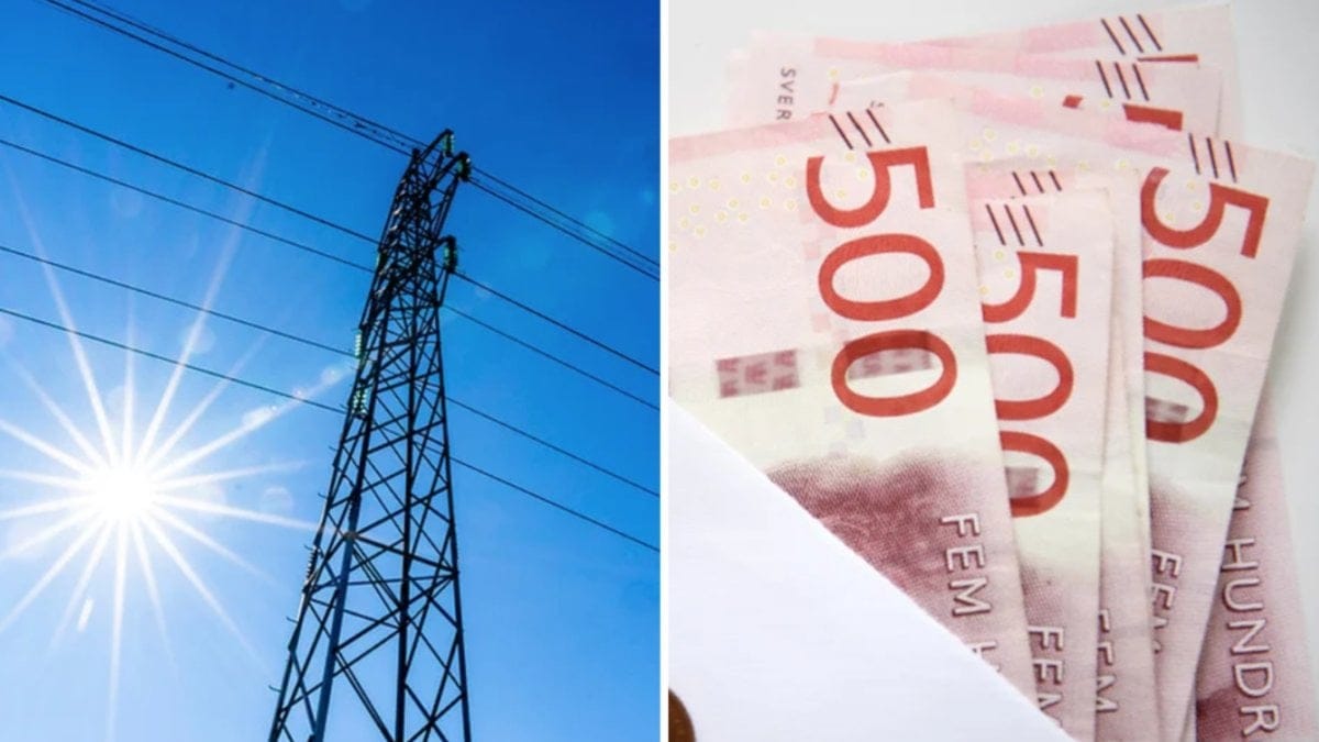 Två elnätsföretag flaggar för höjda avgifter.