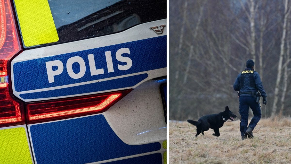 Polisbil och polis och polishund