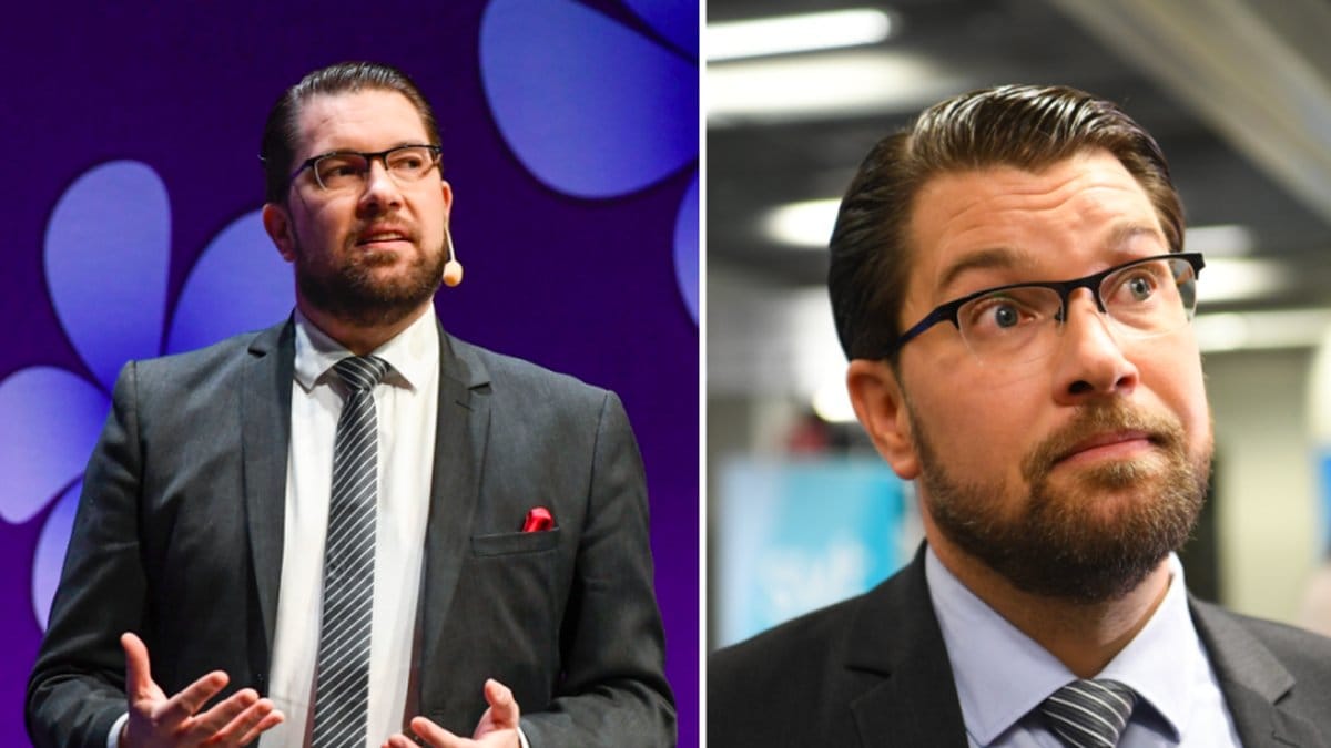 Jimmie Åkesson till attack mot regeringen: Fegisar
