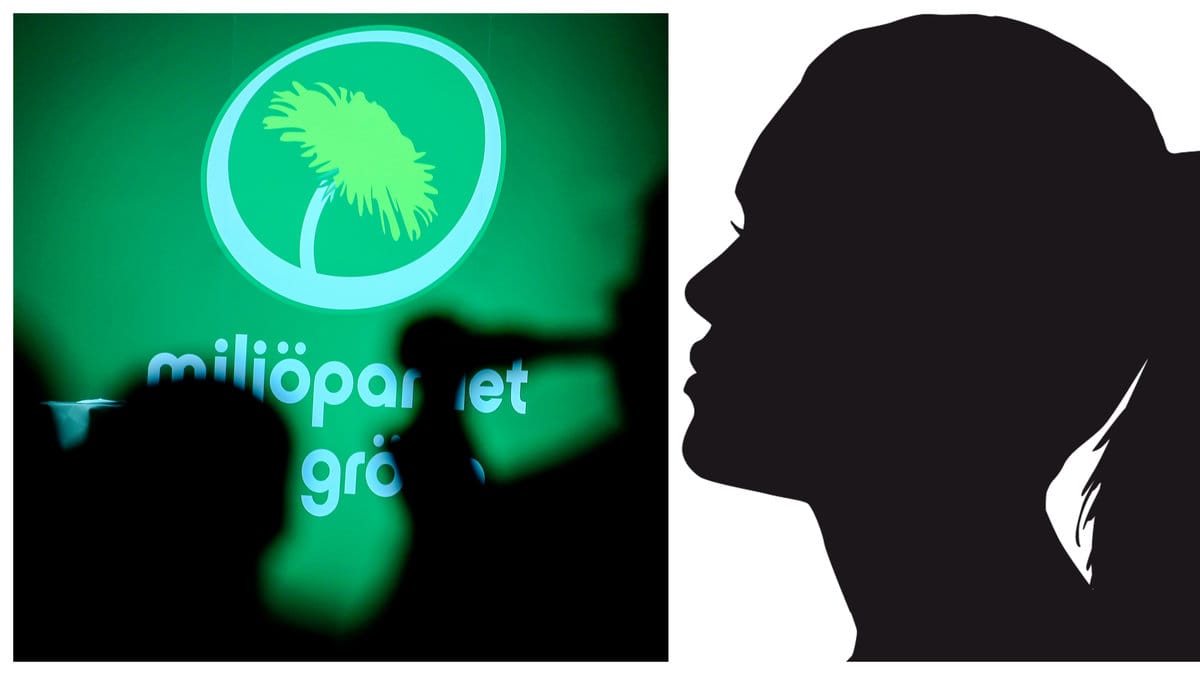 Miljöpartist åtalas för förtal.