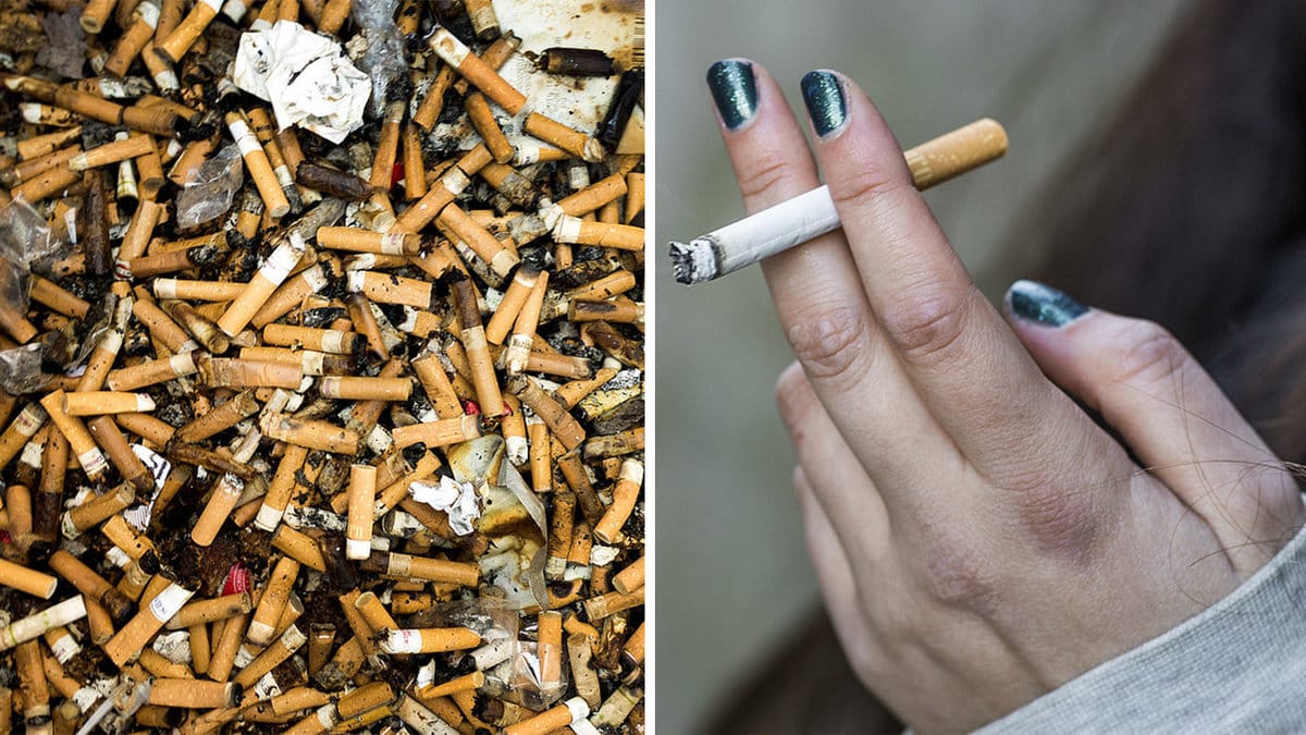 Cigarettfimpar