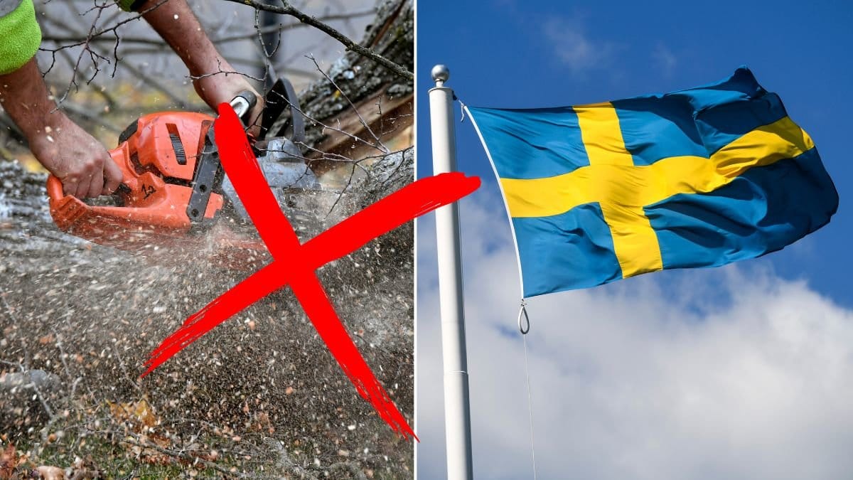 motorsåg och svensk flagga