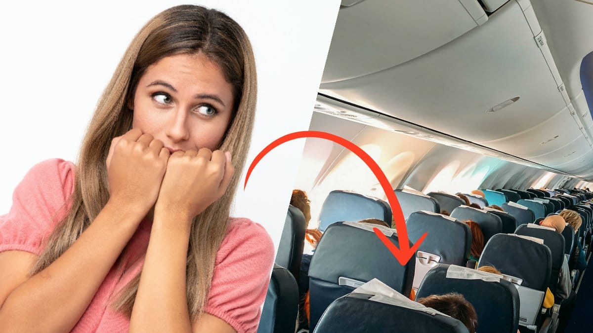 Bakteriefallor-flygplan