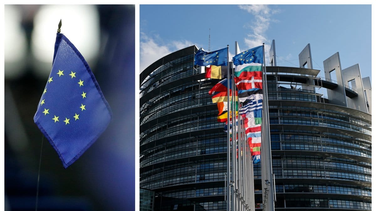 Angel Dzjambazki anklagas för att ha gjort en nazisthälsning i EU-parlamentet.