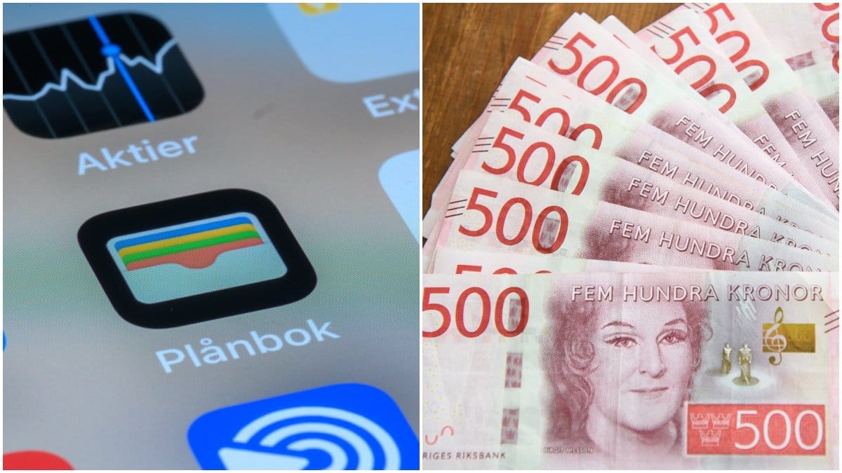 Regeringens återvandringsbidrag ska uppgå till 600 000 kronor för en familj och 350 000 för en vuxen.