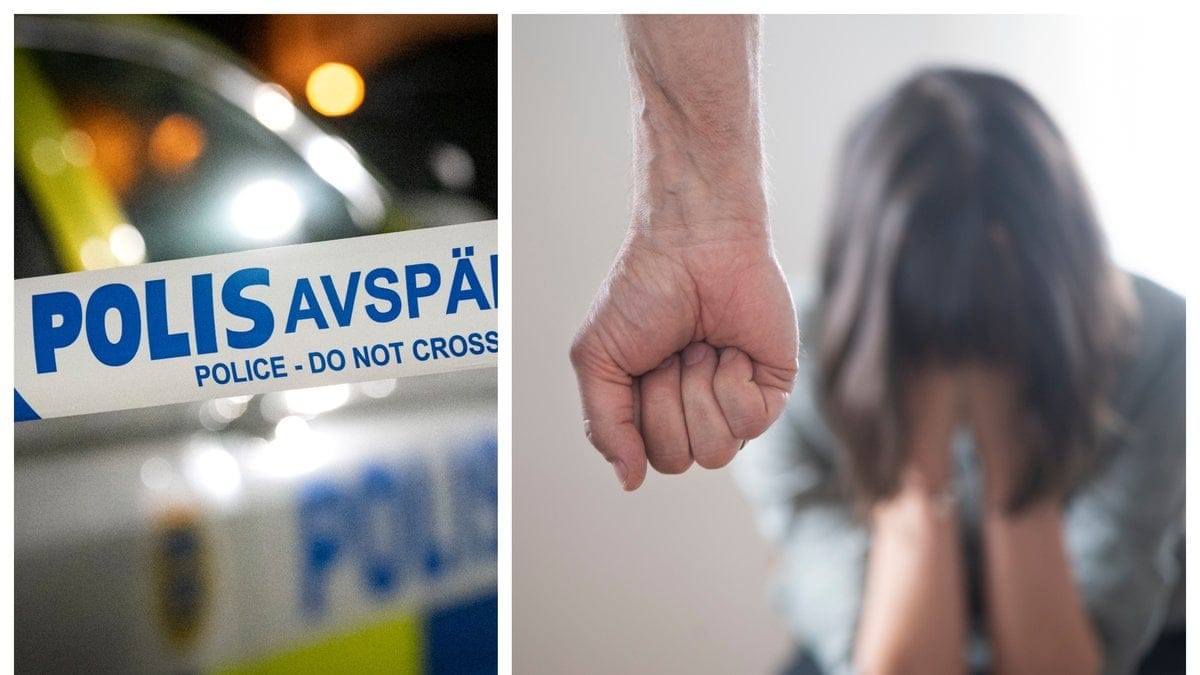 En man åtalas misstänkt för att ha misshandlat och tvingat ner sin sambo i en låda.