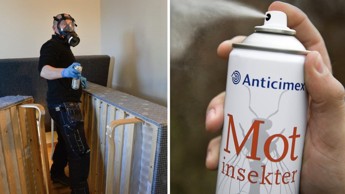 Har du problem med pälsängrar hemma? Då finns det flera knep du kan göra för att bli av med odjuren.