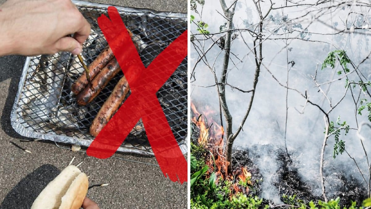 Helst bör man göra upp eld på en lämplig plats, grus, sten eller sandmark enligt experten.