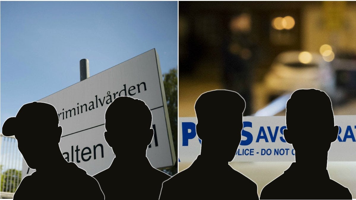 Ungdomsligan Familjen gäckade Sverige under 1990-talet.
