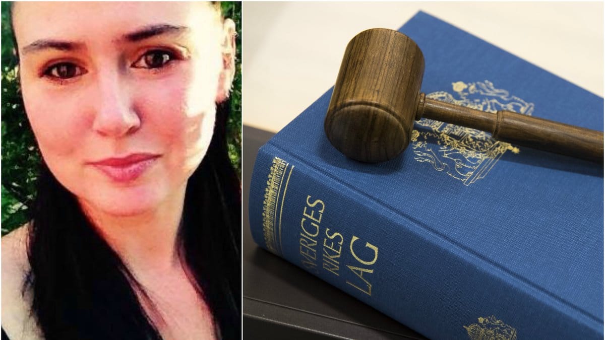 Ida Drougge från Moderaterna lyfte förslaget i riksdagen.