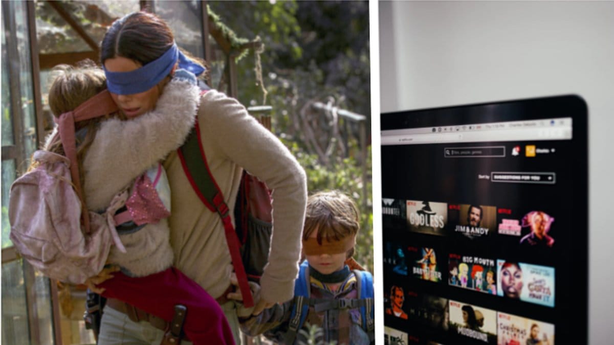 Bird box
