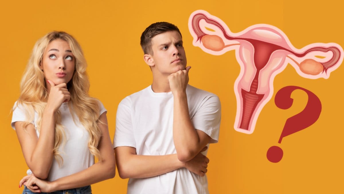 Quiz kvinna anatomi 