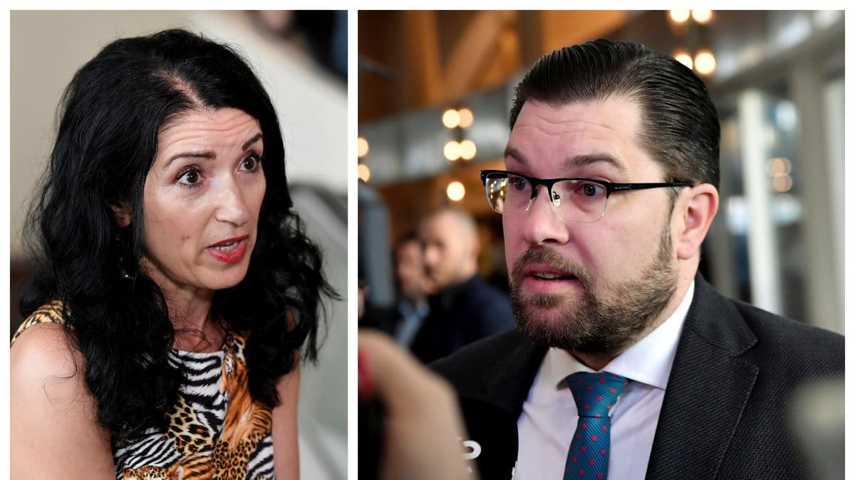 Jimmie Åkesson (SD) går till attack mot den politiska vilden Amineh Kakabaveh.