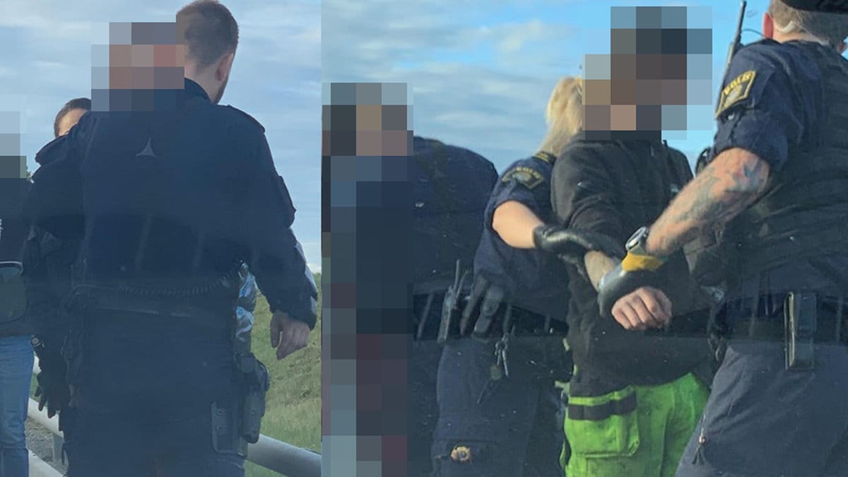 En känd svensk profil har gripits