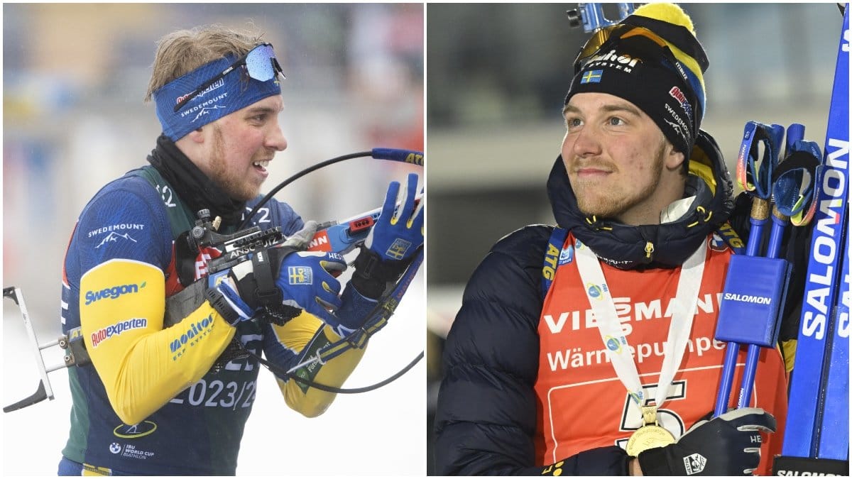 Nyheter24 har tagit reda på allt du vill veta om Viktor Brandt Nyheter24 har tagit reda på allt du vill veta om Viktor Brandt 