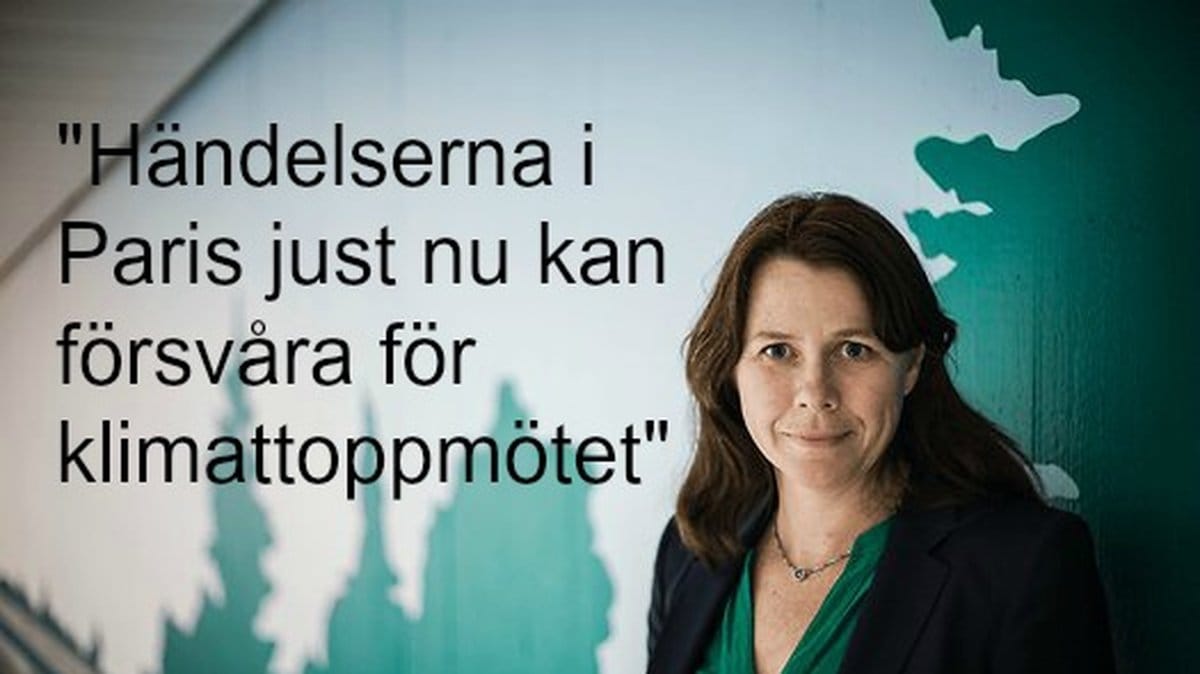 Terrordådet i Paris kan försvåra klimattoppmötet menar Åsa Romson