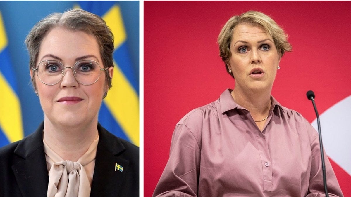 Socialminister Lena Hallengren har entledigats på egen begäran.