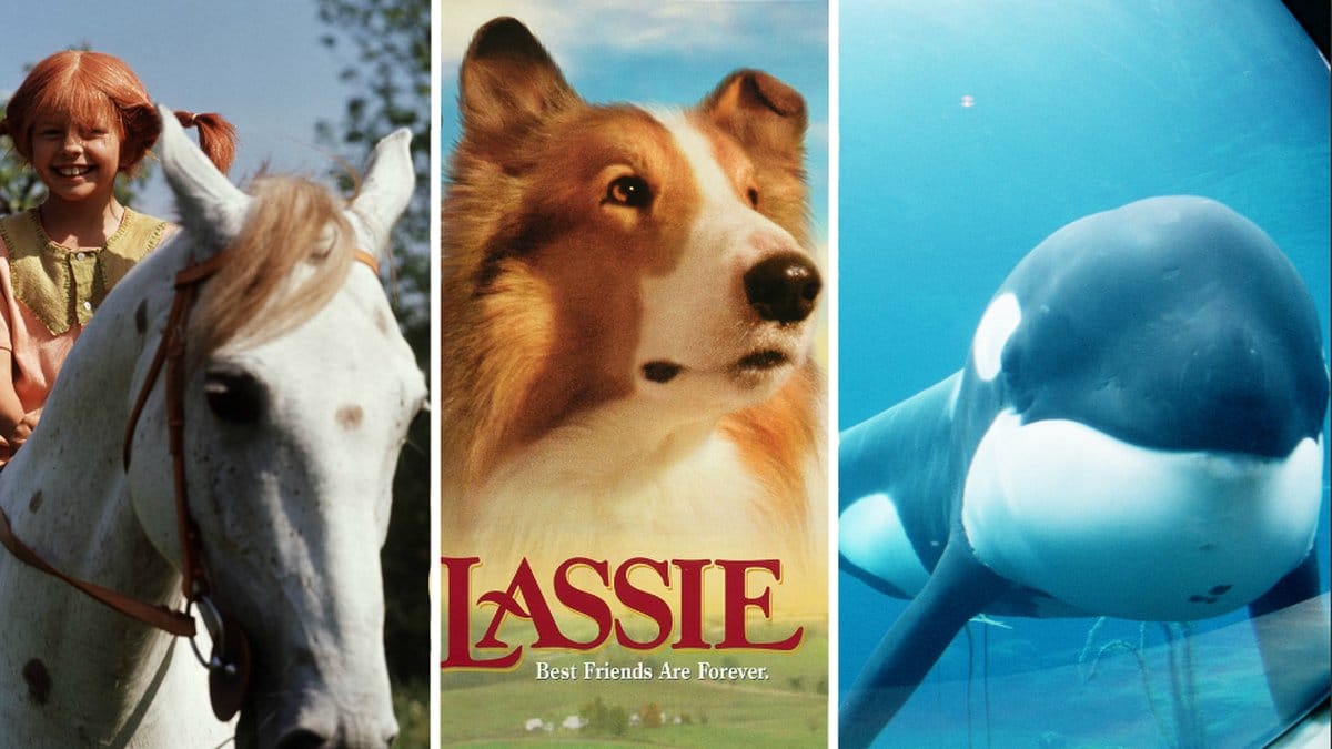 Det här hände med djuren vi såg i de kända filmerna