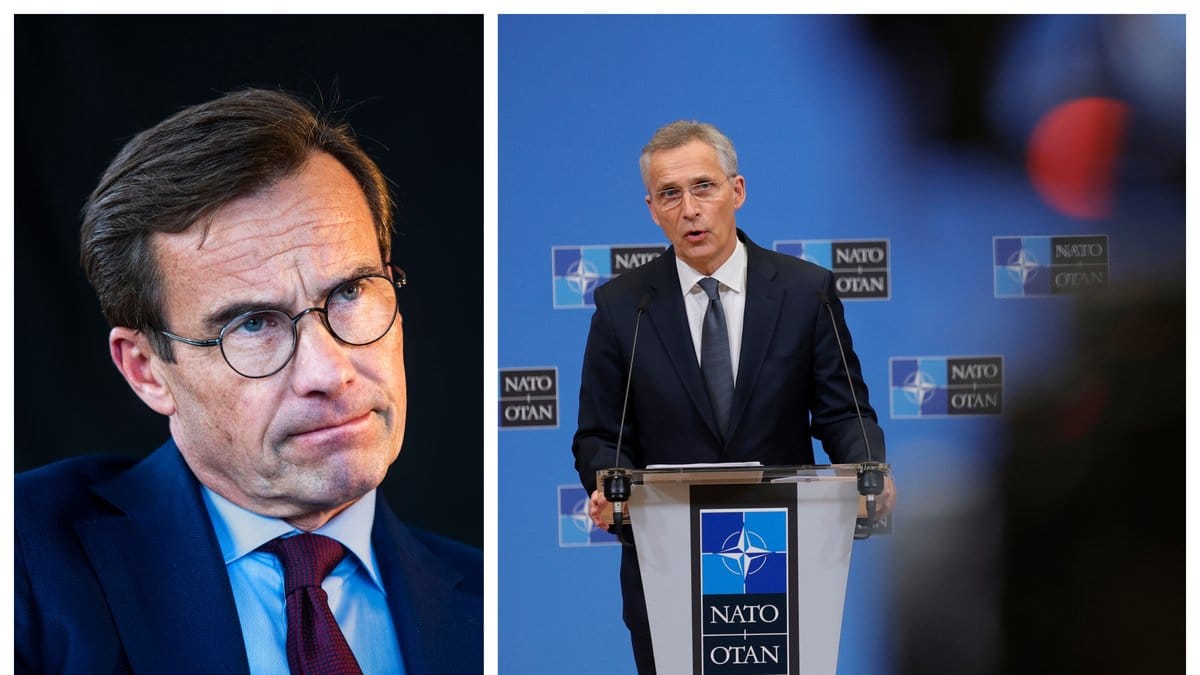 Moderaterna vill lämna in en Natoansökan.