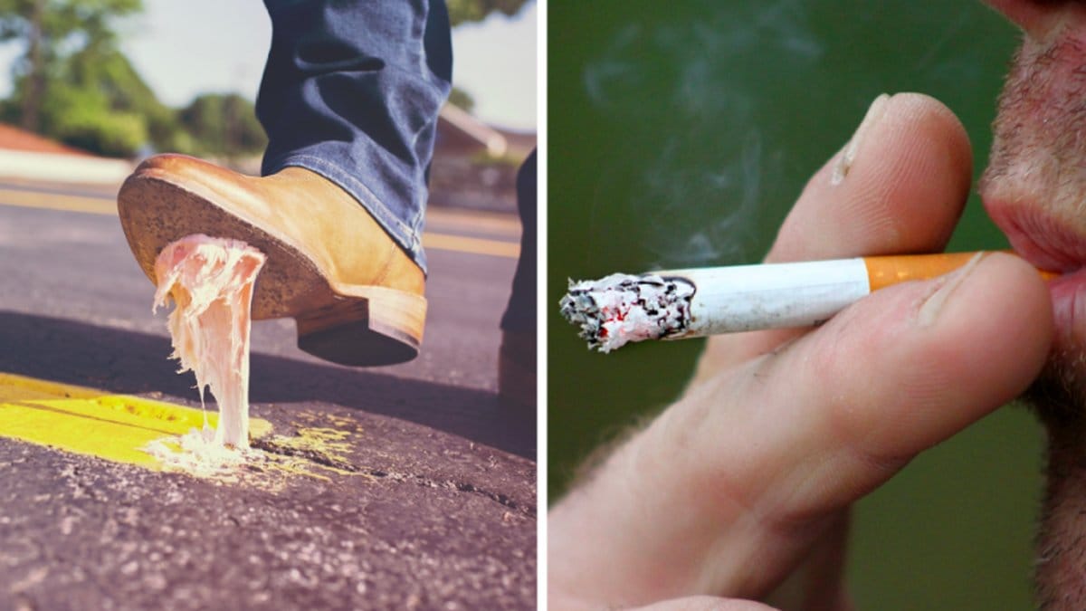 800 kronor i böter får du betala om du skräpar ned.