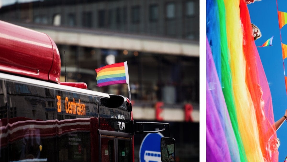 SD vill stoppa prideflaggan