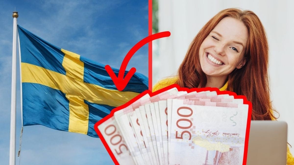 svensk flagga, pengar, kvinna med dator