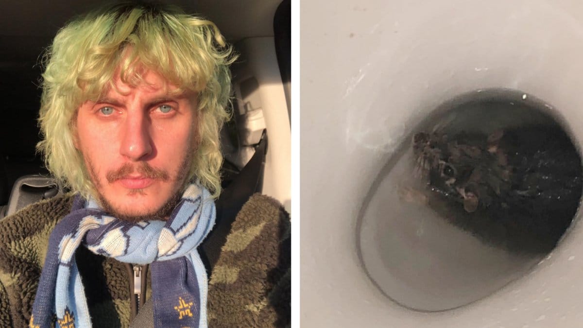 Filip hittade en levande råtta i toaletten.