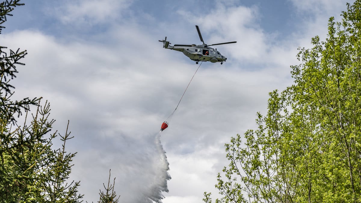 Bilden är från en annan skogsbrand.