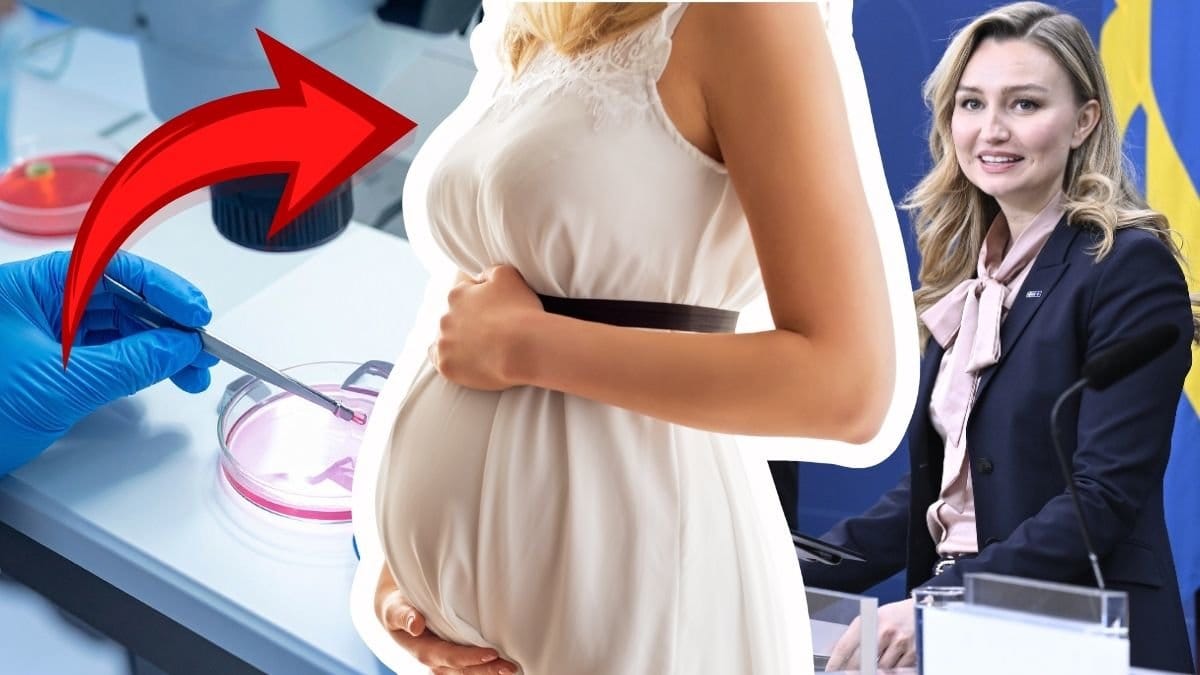 IVF-forskning vänster. Ebba Busch Thor under presskonferens höger. Kvinna med gravidmage i mitten.