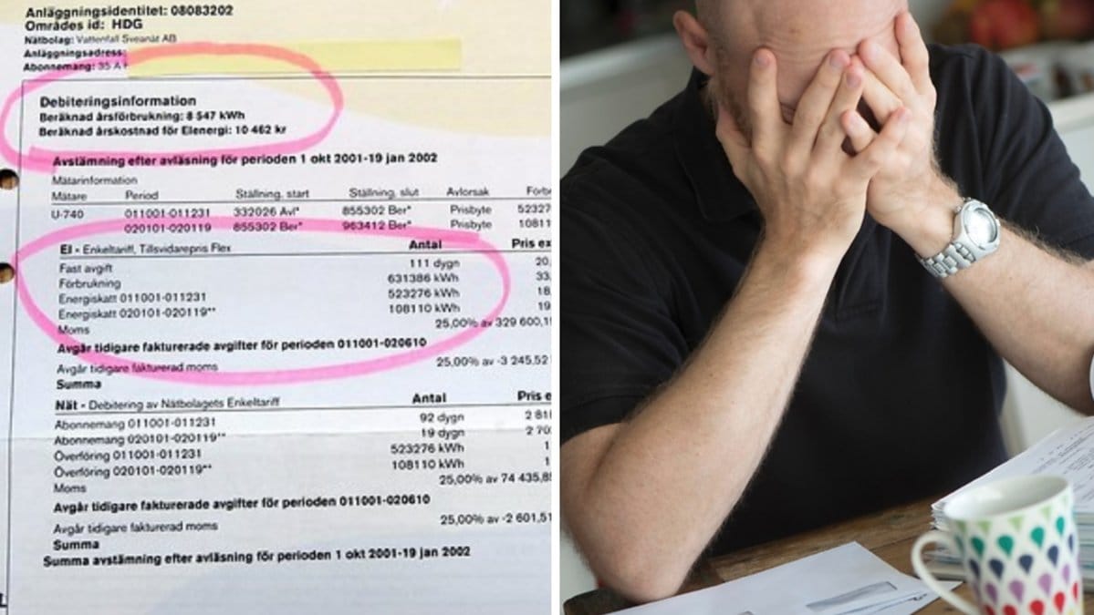 Elbolaget skickade fakturor för elavtal som inte beställts.