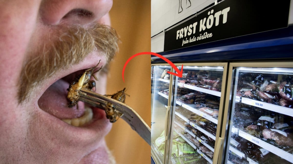 Snart-kan-insekter-saljas-som-mat-i-Sverige