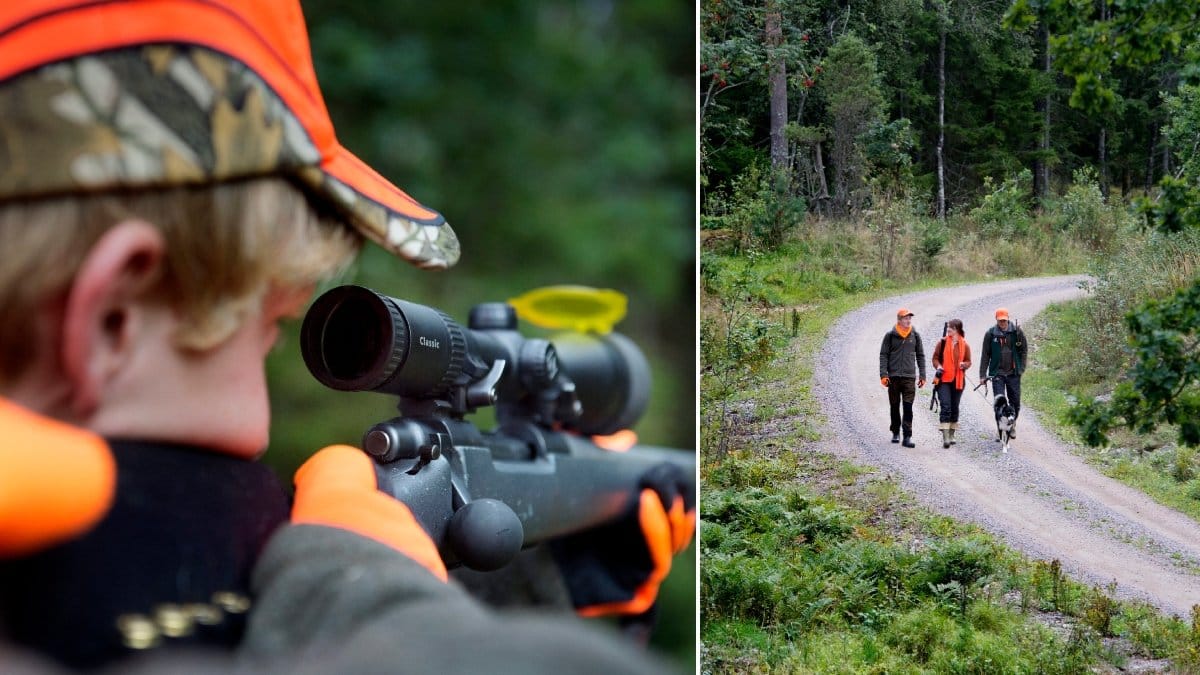 Bild på några som går i skogen och en jägare.