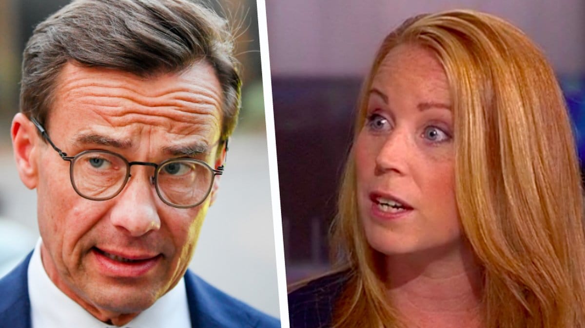 Annie Lööf Centerpartiet