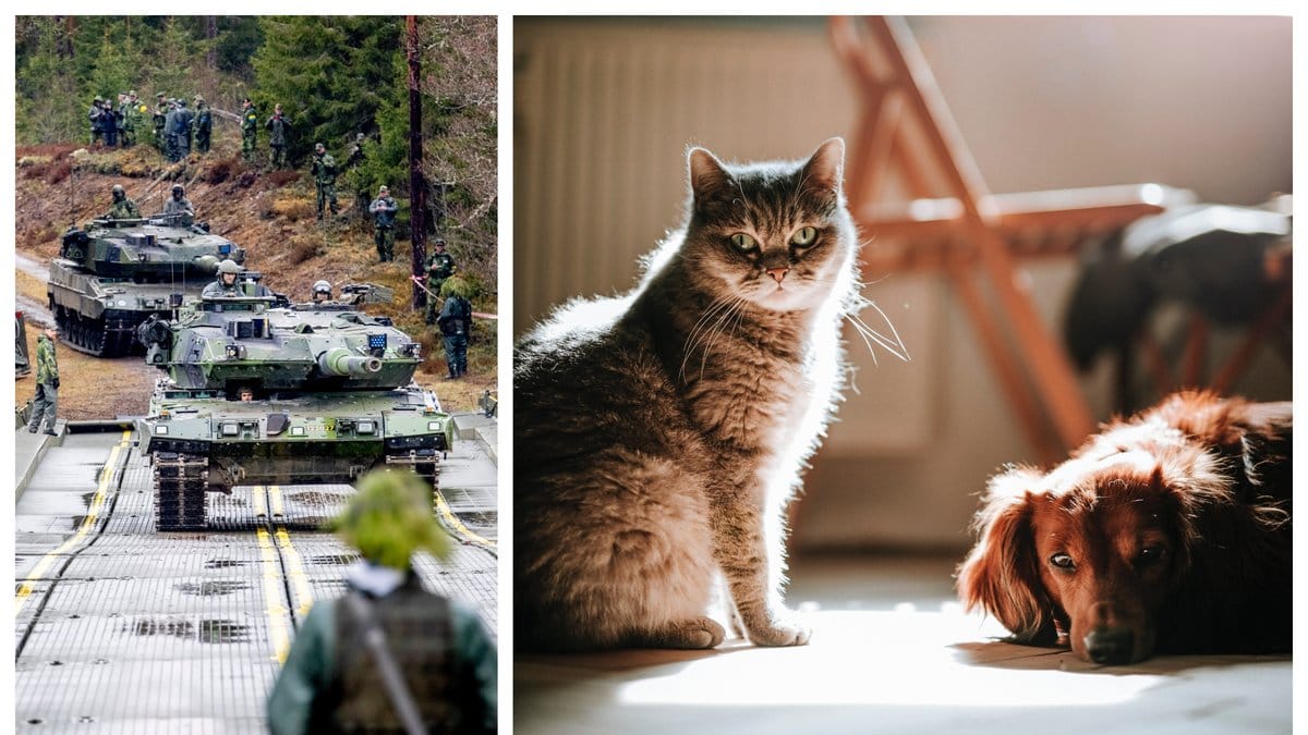 Vad innebär totalförsvar och förfogandelagen?