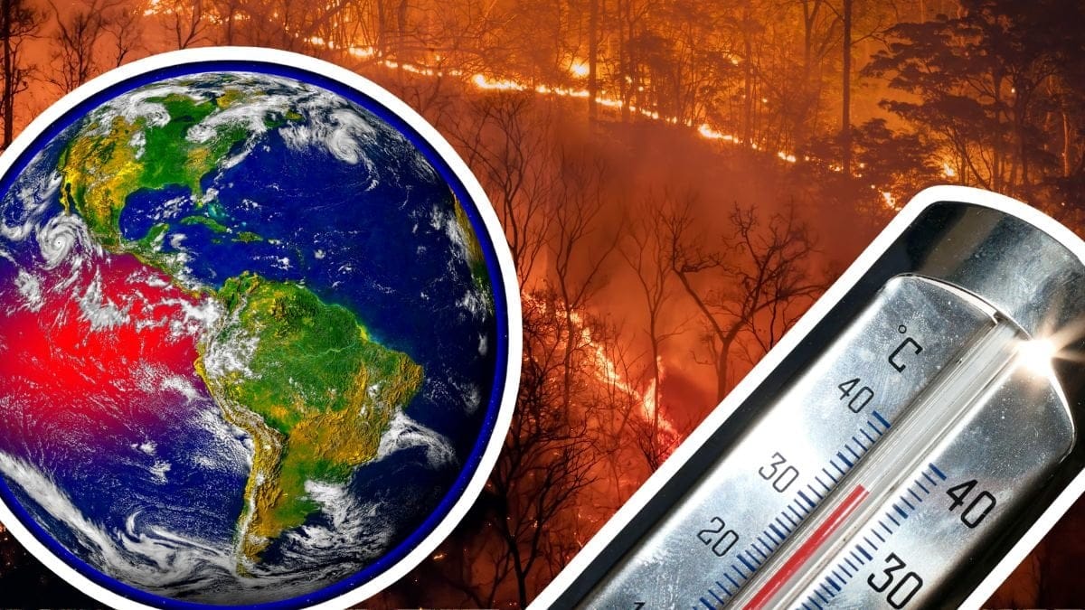 Jorden, skogsbrand och en termometer