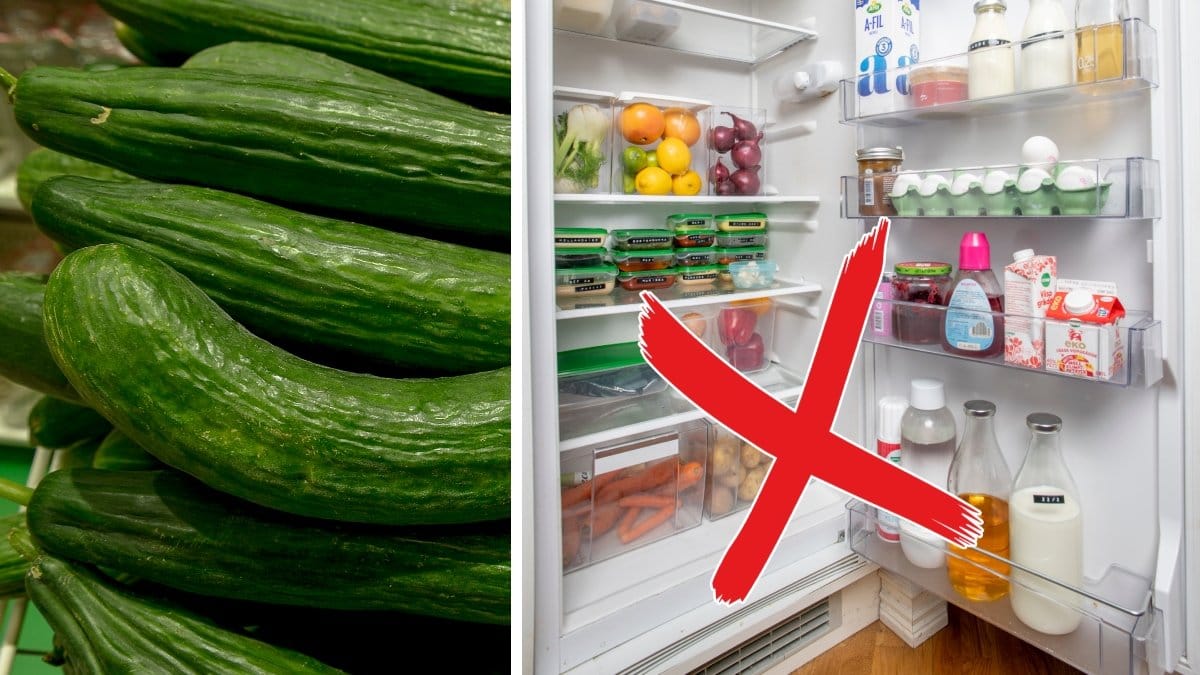 Flera gurkor på hög och ett öppet kylskåp med mat i