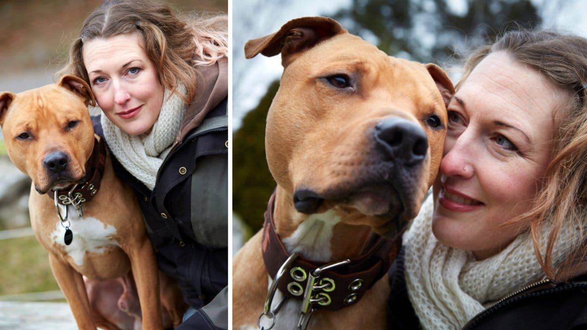 Irene Westerholm är kamphundsexpert.