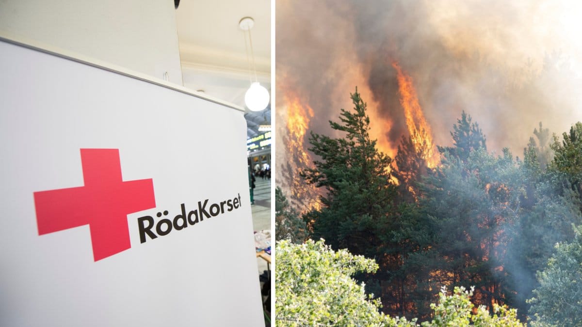 Krisberedskapsrådgivaren berättar hur du på bästa sätt skyddar dig vid en skogsbrand.