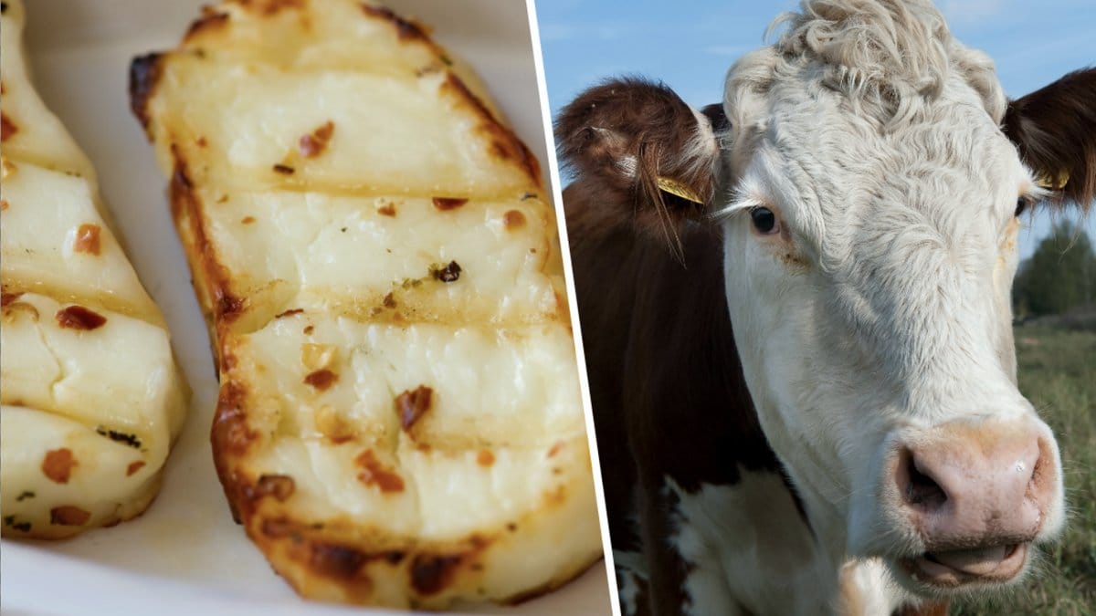 WWF varnar för halloumins påverkan på miljön